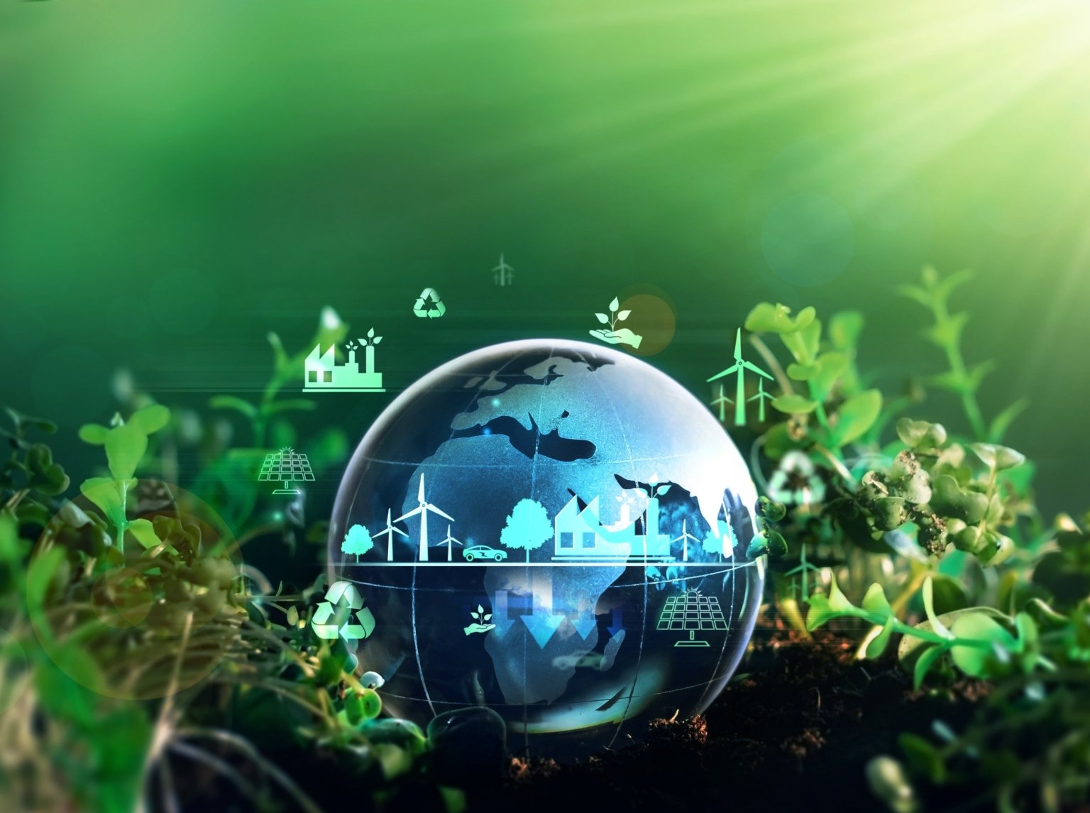 Climate protection projects Bäume gemeinsam pflanzen